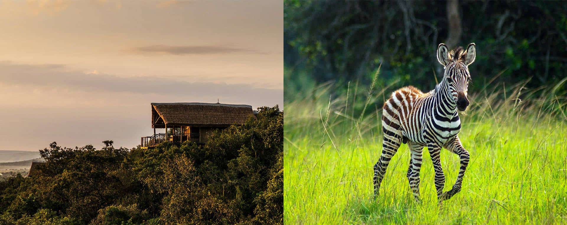 Mihingo Lodge Lake Mburo