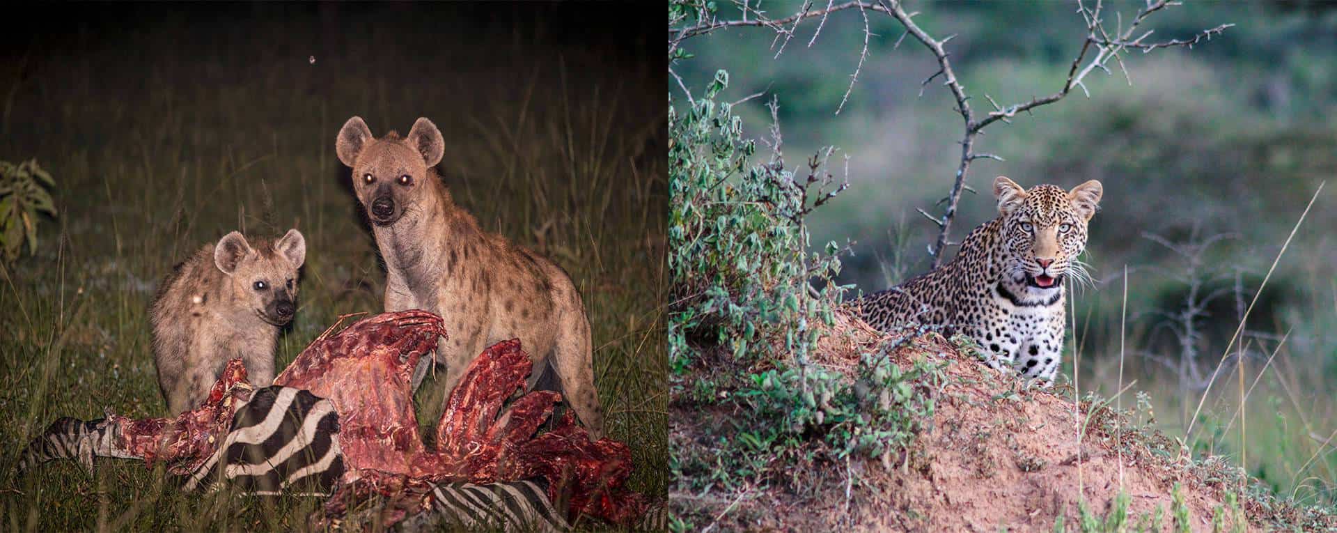 Lake Mburo Safari Activities & Tour Attractions
