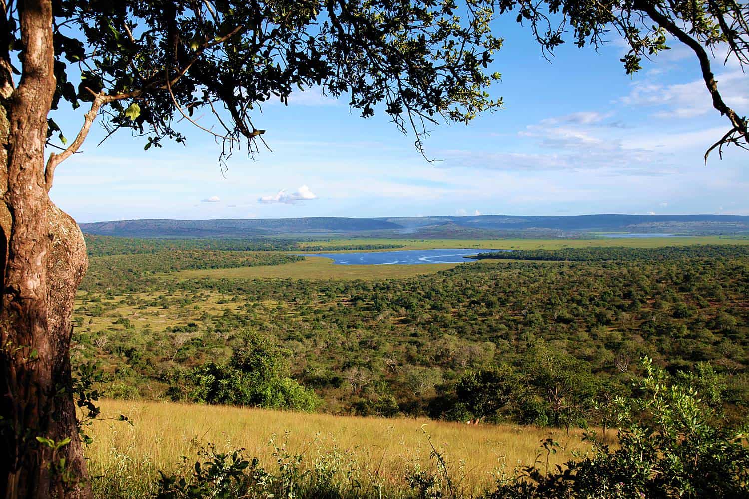 The Beautiful, Diverse & Aquatic Ecology Of Lake Mburo