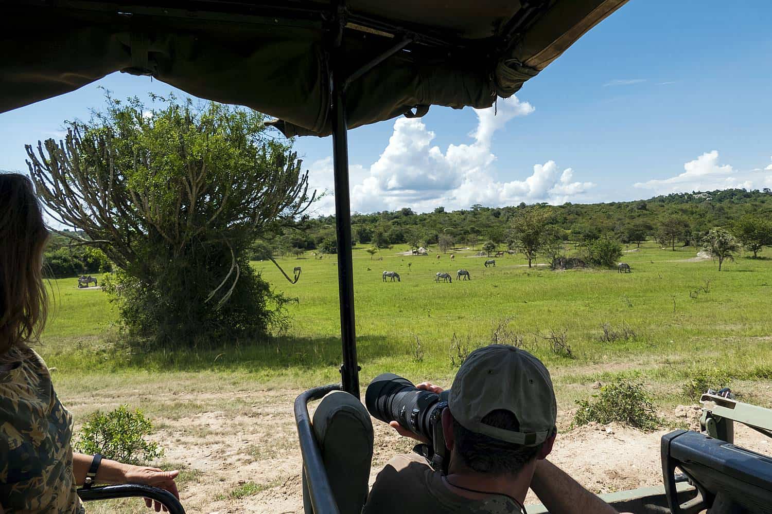 Game Drives To View The Diverse Wildlife Of Lake Mburo