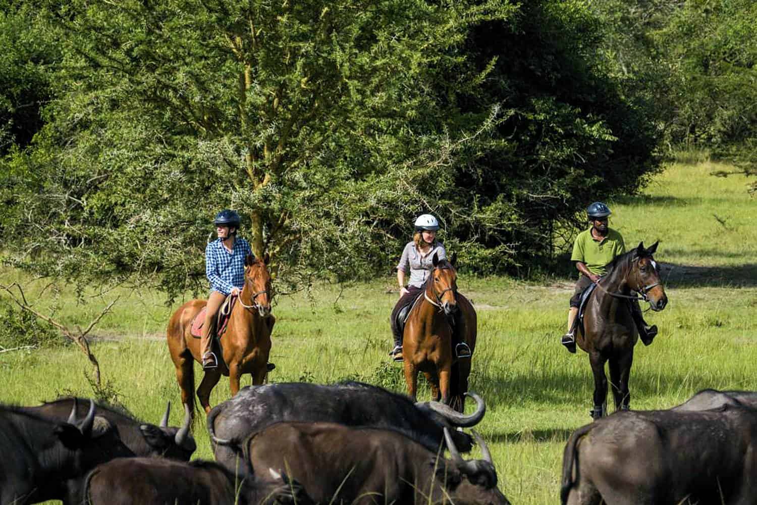 Horseback Safaris In Lake Mburo Park