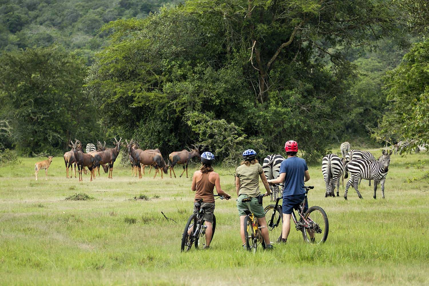 Mountain Biking & Cycling In Lake Mburo Park