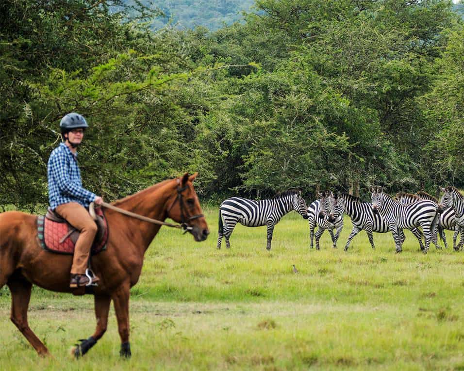 Unique Safari Experiences In Lake Mburu Park