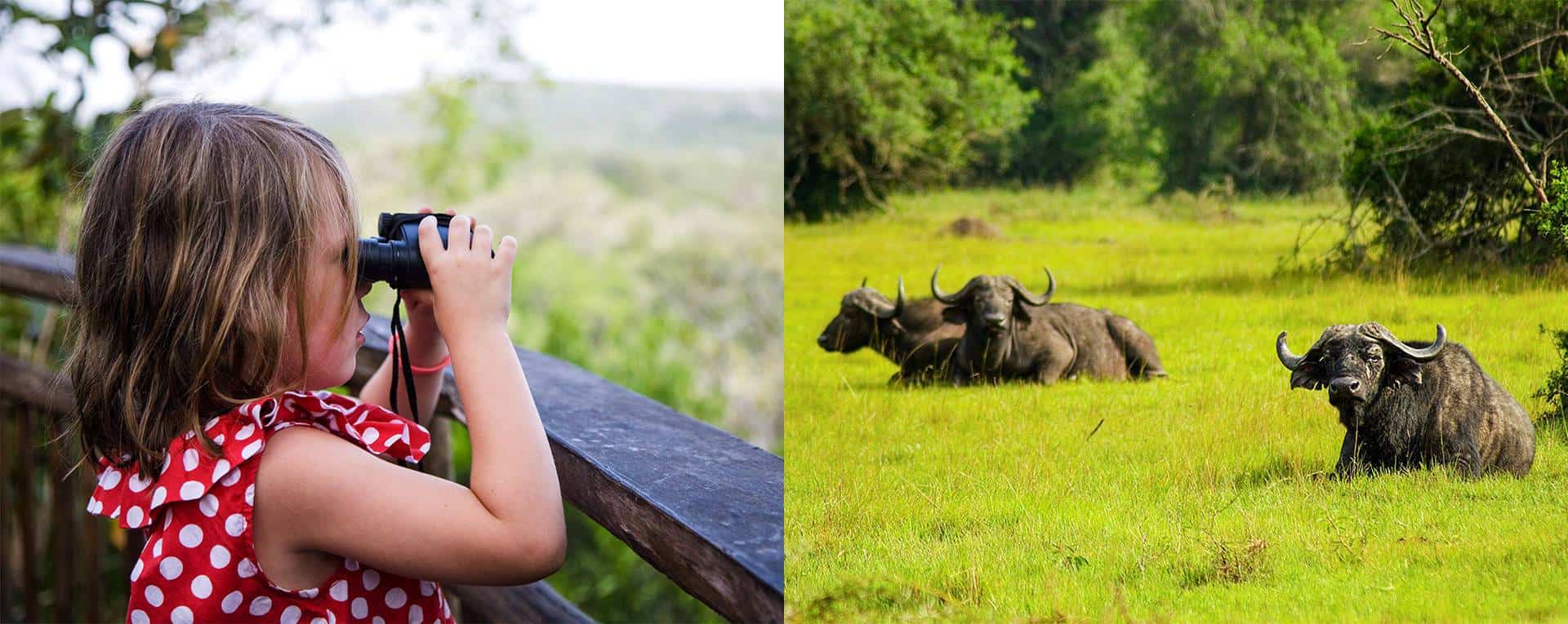 Family Safaris Trip Planning Guide For Uganda