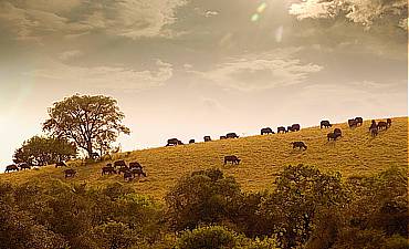 BEST TIME TO VISIT LAKE MBURO 