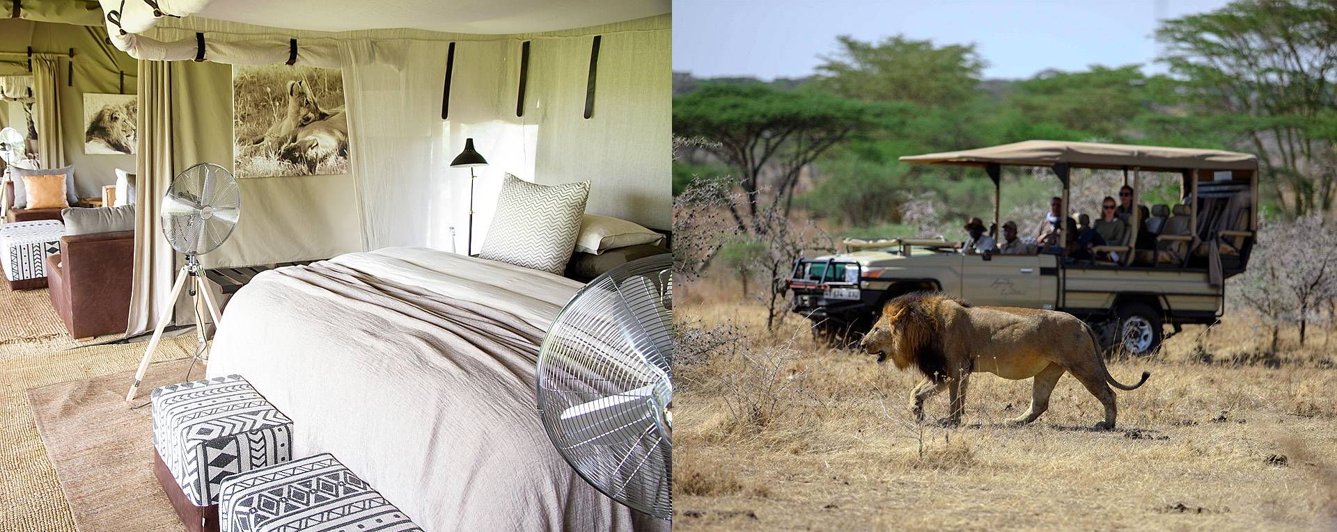 Legendary Serengeti Camp