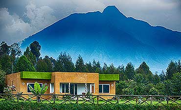 MOUNTAIN GORILLA VIEW LODGE