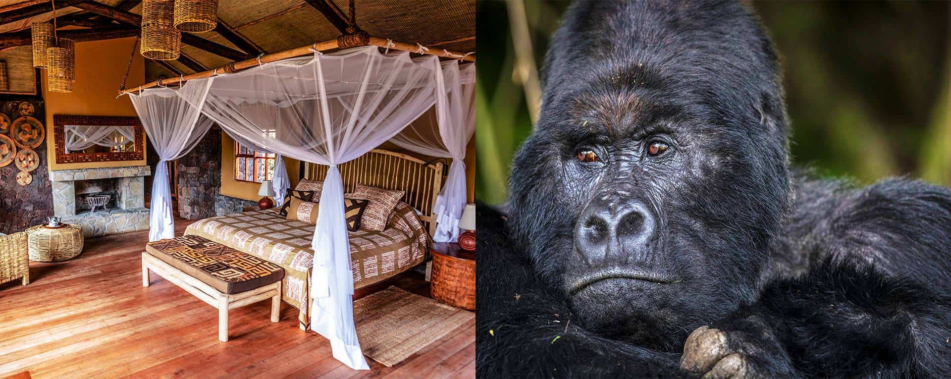 Mount Gahinga Lodge Mgahinga Gorilla