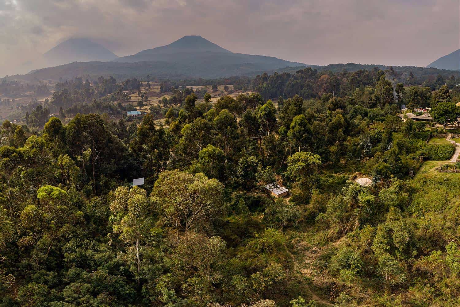 Mgahinga Park Treks