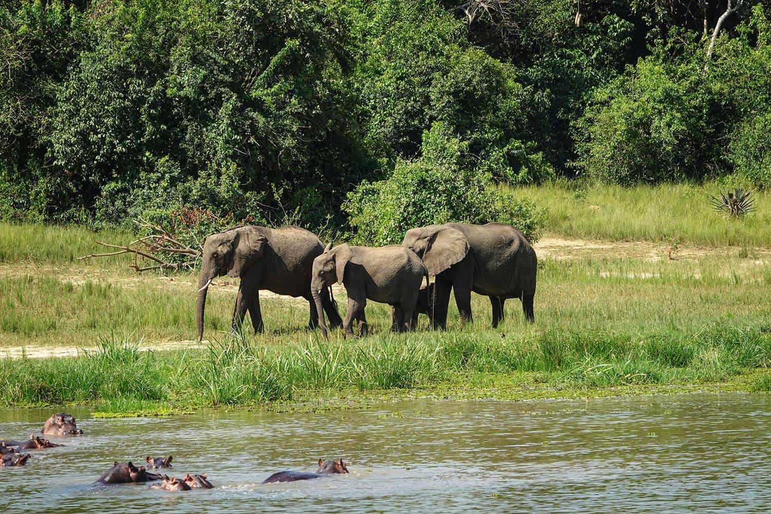 Murchison River Lodge Safari Murchison Falls Tour
