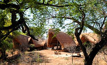 MWAGUSI SAFARI CAMP - RUAHA SAFARI FROM SERENGETI