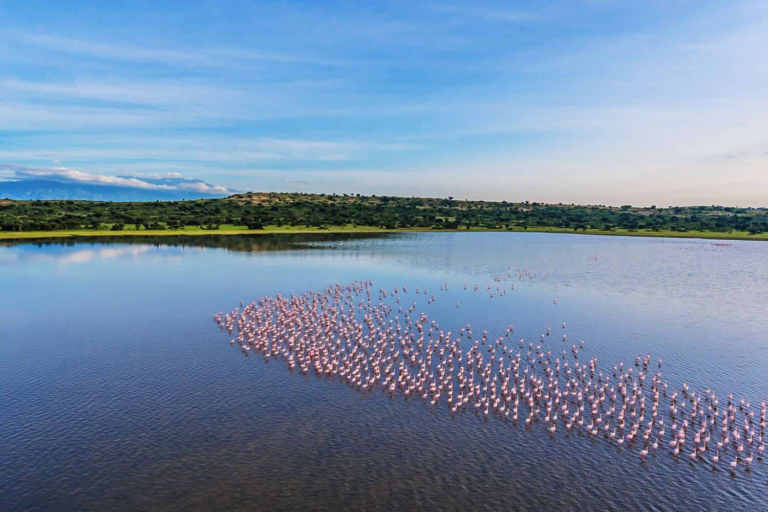 Important Birding Area (IBA) Tour In Queen Elizabeth