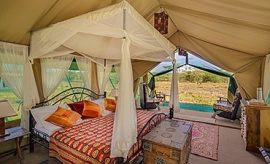 ndutu safari lodge contacts