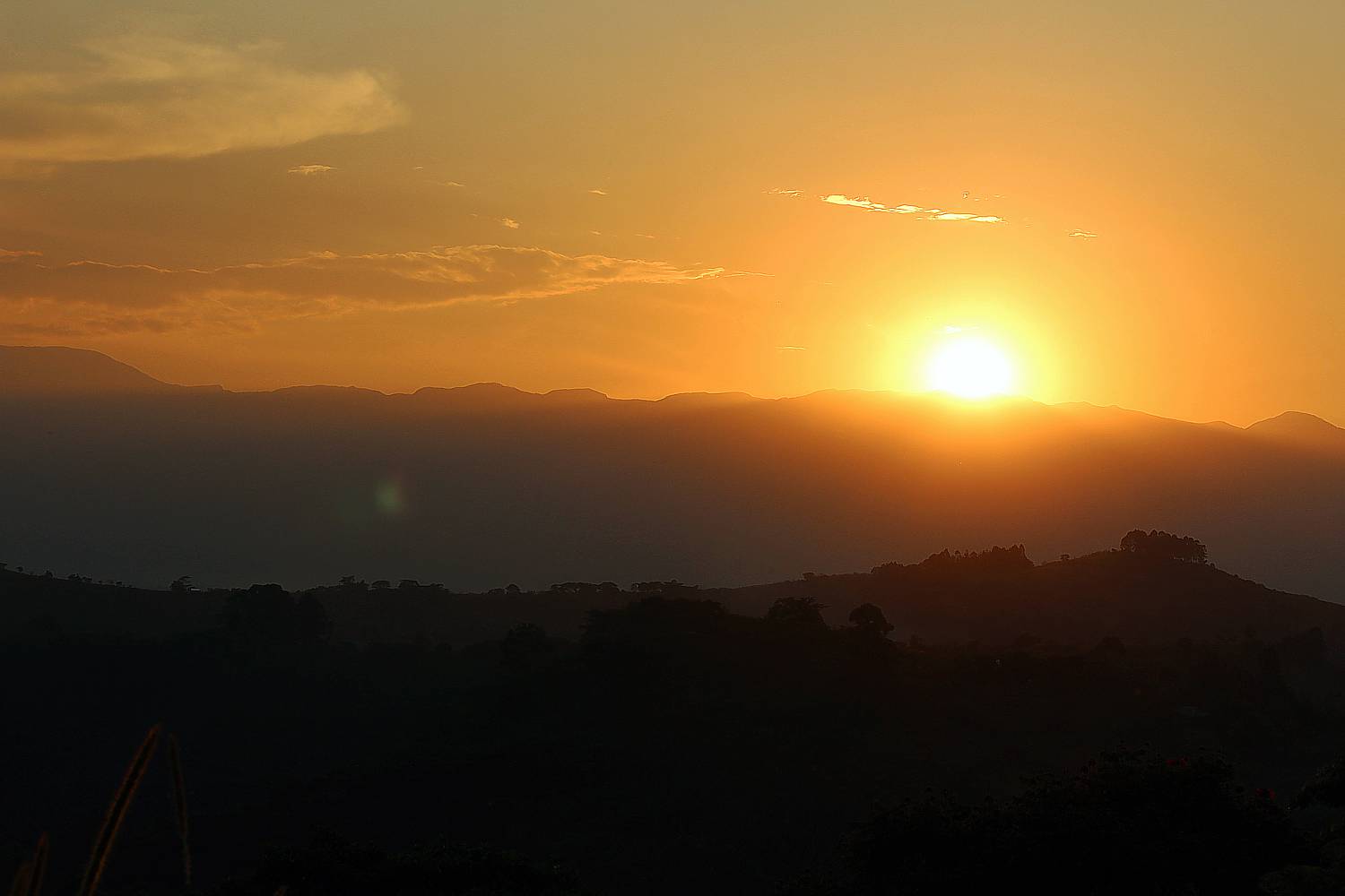 Kibale Evening Forest Walks