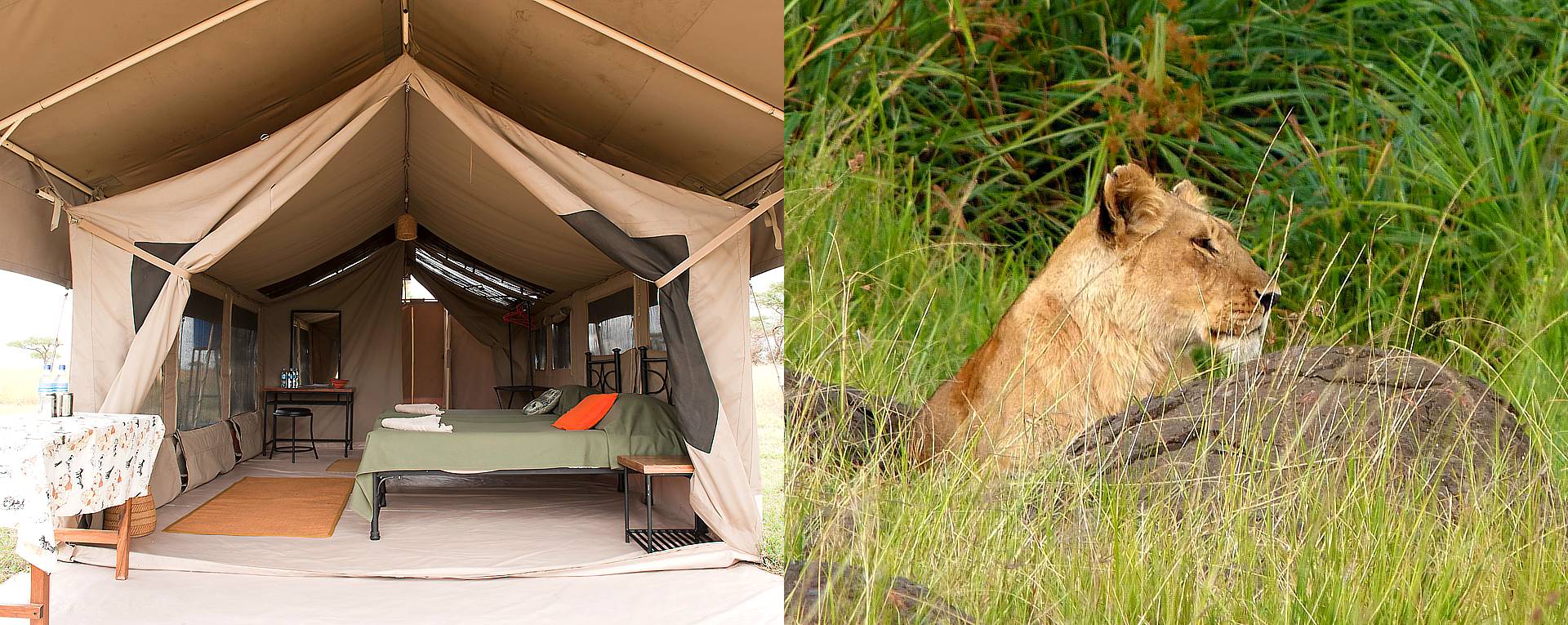 Classic Tented Safari