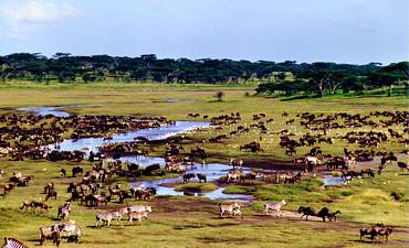 VALUE TIER 3 - NORTHERN TANZANIA MIGRATIONS & EXPLORATIONS SAFARI