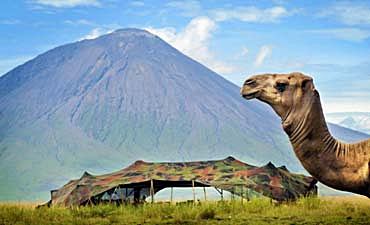 GUIDE ON LAKE NATRON