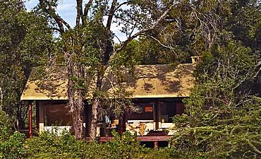masai marasopalodgesmall1 NGERENDE ISLAND LODGE