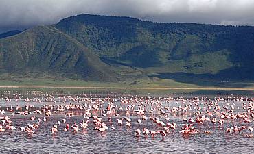 5 DAYS - TANZANIA VALLEY & CRATER ULTRA-LUXURY SAFARI