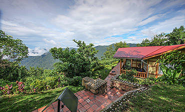 NKURINGO BWINDI GORILLA LODGE - BWINDI GORILLA SAFARI