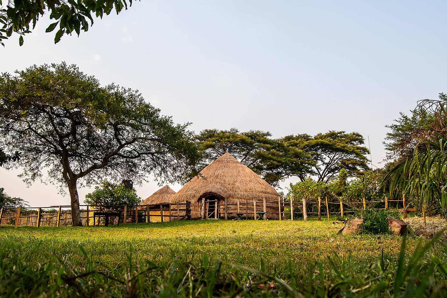 Authentic Cultural Experience Of The Nshenyi Village - Ankole Tribe