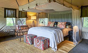 NYASI MIGRATIONAL CAMP - SERENGETI SAFARI FROM DAR ES SALAAM OR ZANZIBAR