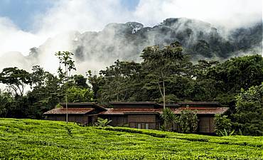 PLACES TO STAY IN NYUNGWE