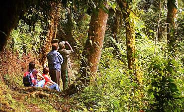 BEST TIME TO VISIT NYUNGWE 