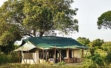 PLACES TO STAY IN MASAI MARA