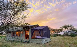 ndutu safari lodge contacts