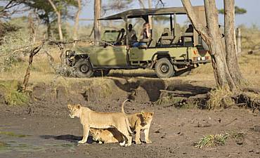 DELUXE TIER 2 - GEMS OF NORTHERN TANZANIA SAFARI