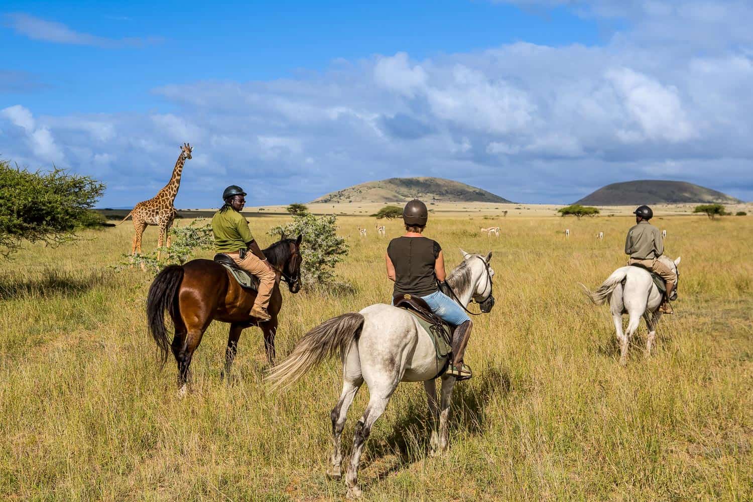 Chyulu Hills horse riding giraffe