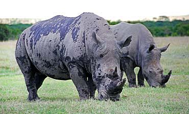 SOUTHERN LAIKIPIA ACCOMMODATIONS