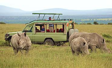 DELUXE TIER 2 - ASILIA ENCOUNTER MARA HIGHLIGHTS OF KENYA SAFARI (10 DAYS)