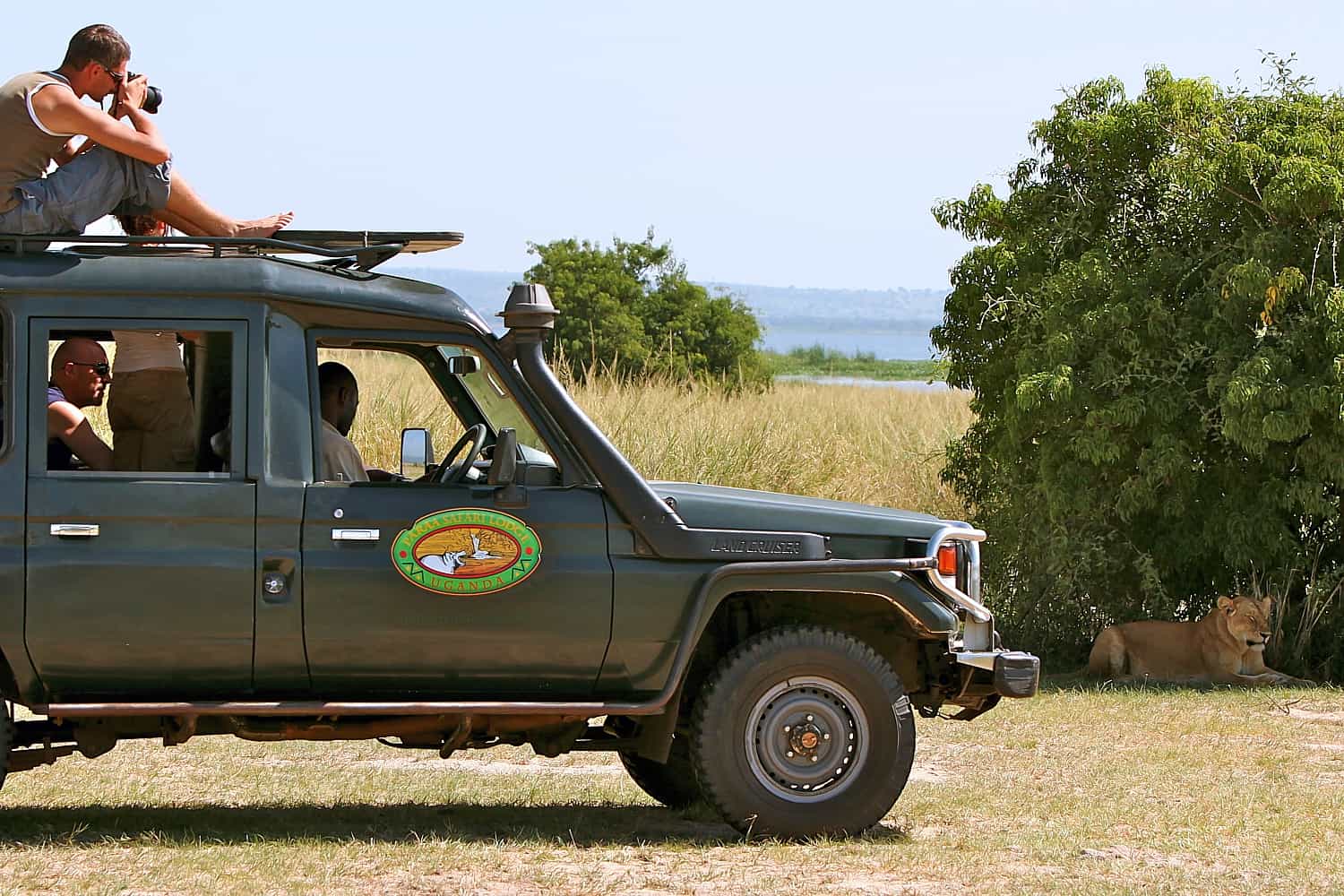 Game Drives To View The Diverse Wildlife Of Murchison Falls