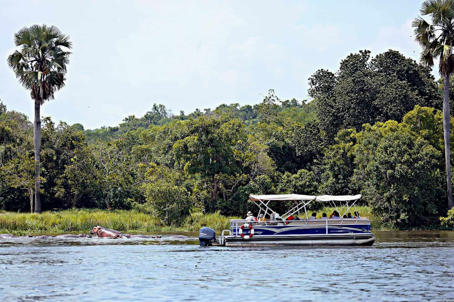 Nile Safaris In Murchison Falls Park