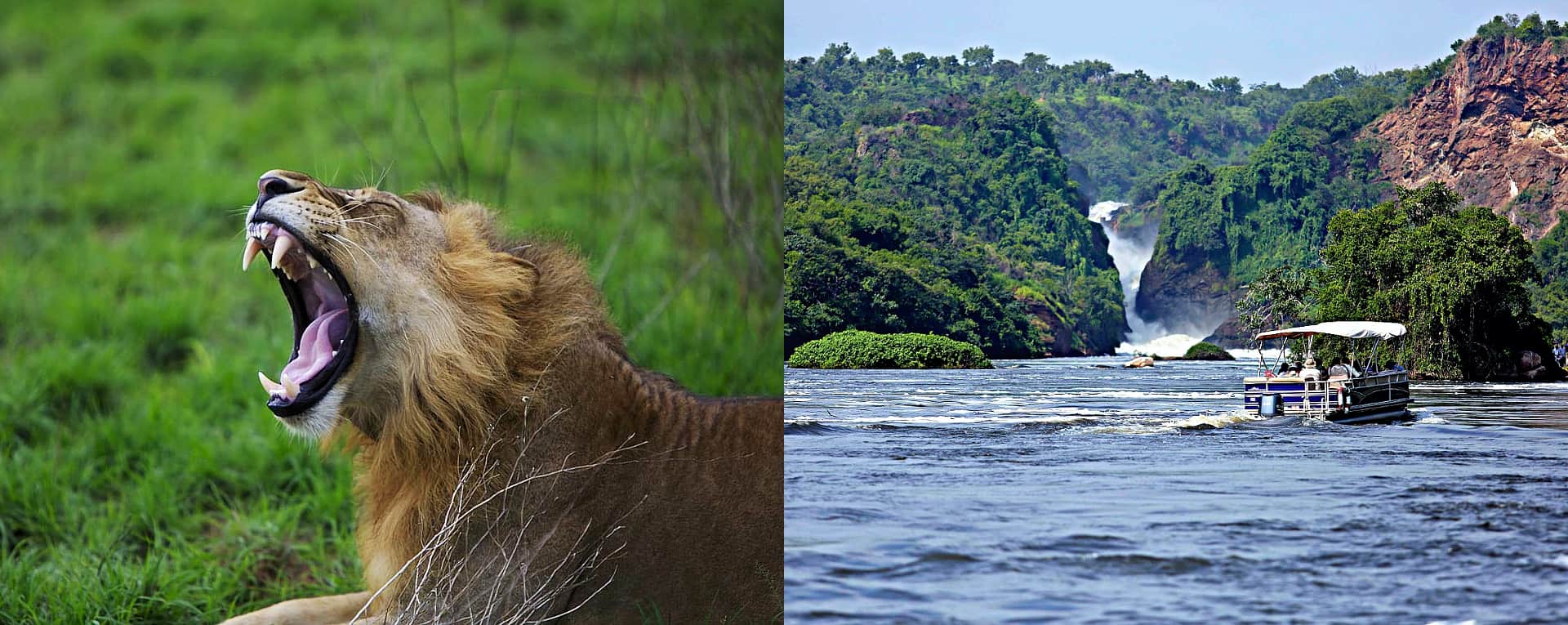 Murchison Falls Safari Activities & Tour Attractions