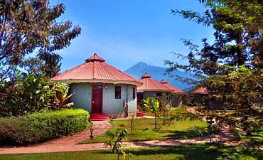 PLANET LODGE