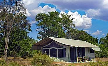 PORINI LION CAMP