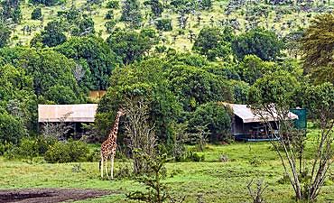 PORINI RHINO CAMP