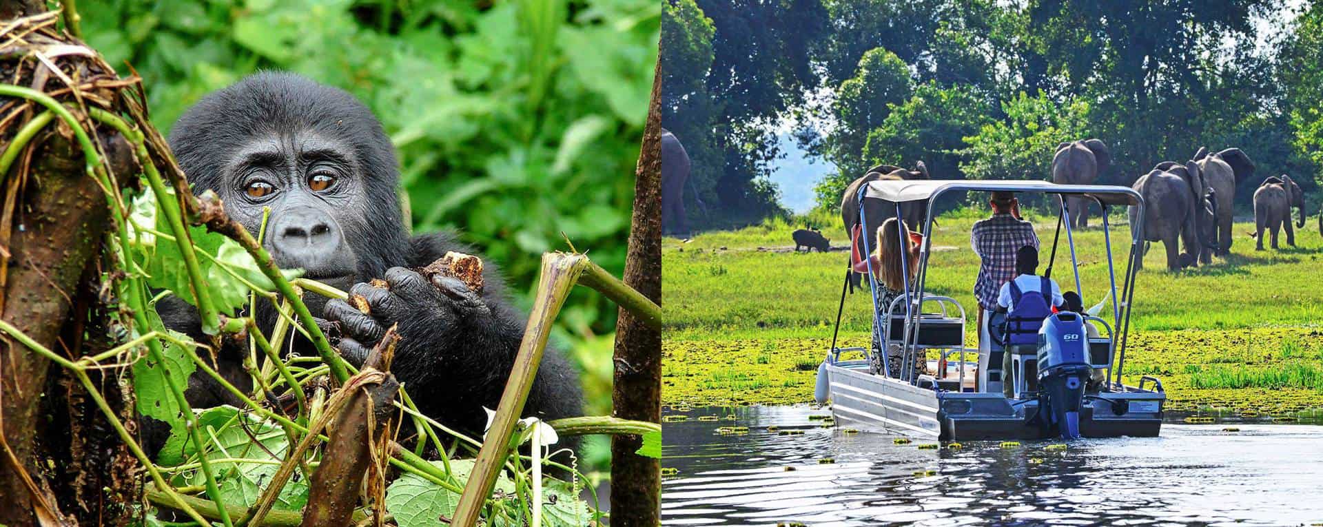 Private & Tailor-Made Safaris Trip Planning Guide For Uganda