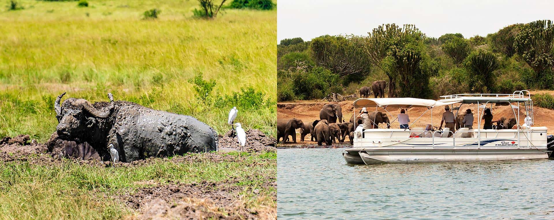 Queen Elizabeth Park Safari Activities & Tour Attractions