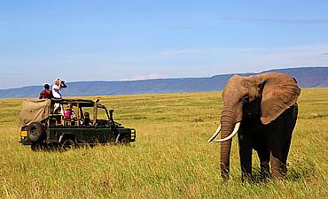 MASAI MARA CONSERVANCIES