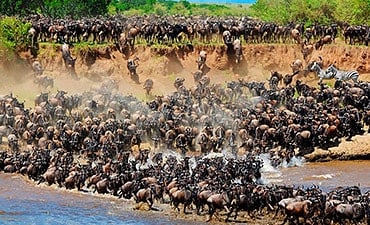 NASIKIA TANZANIA SAFARIS (10 DAYS)