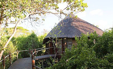 saadaniwildlifecampsmall2 SAADANI RIVER LODGE