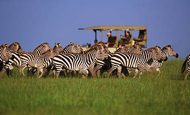 6 DAYS - BEST SERENGETI MIGRATION & PRIVATE CONSERVANCY ULTRA-LUXURY SAFARI