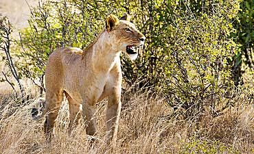 SAFARI & TOUR IN SAMBURU