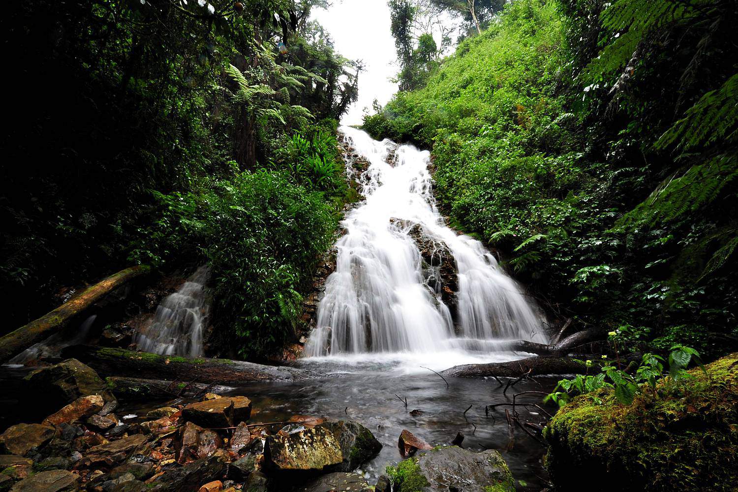 What Beautiful Landscape & Diverse Habitats Exist In Bwindi