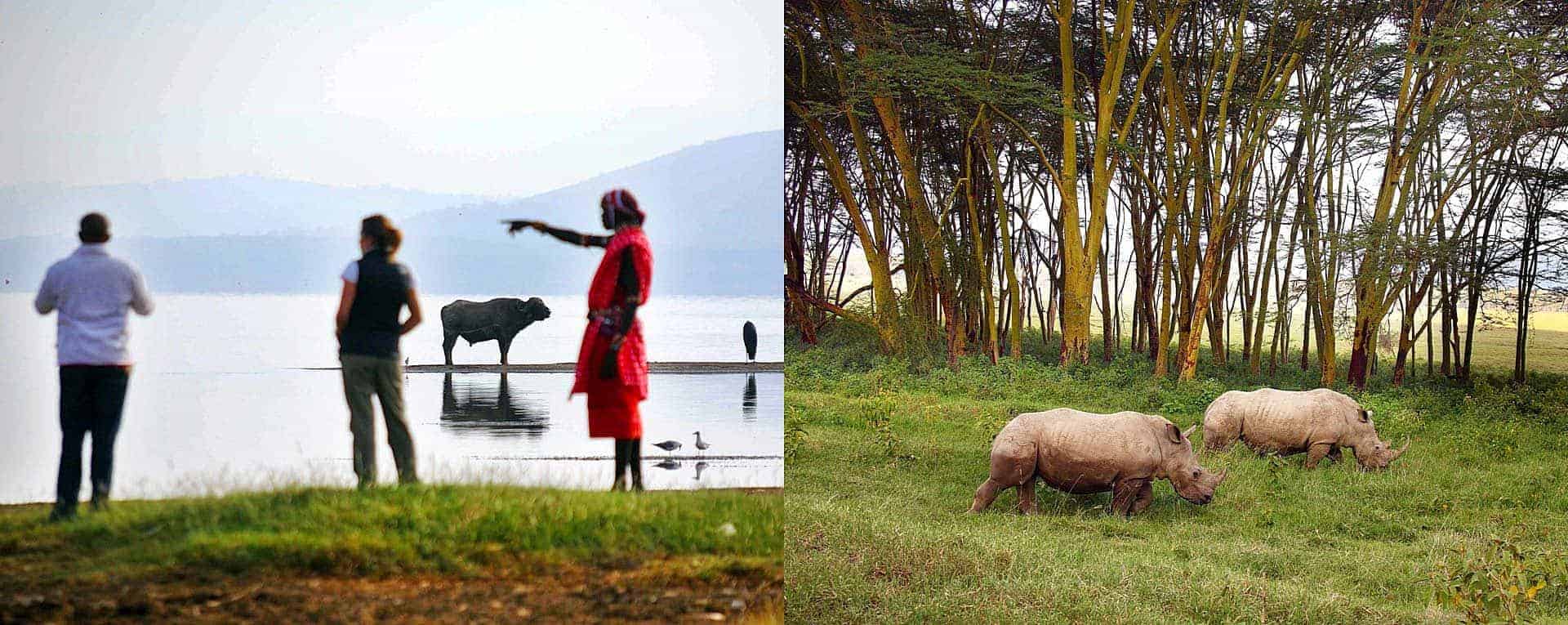 safari lake nakuru