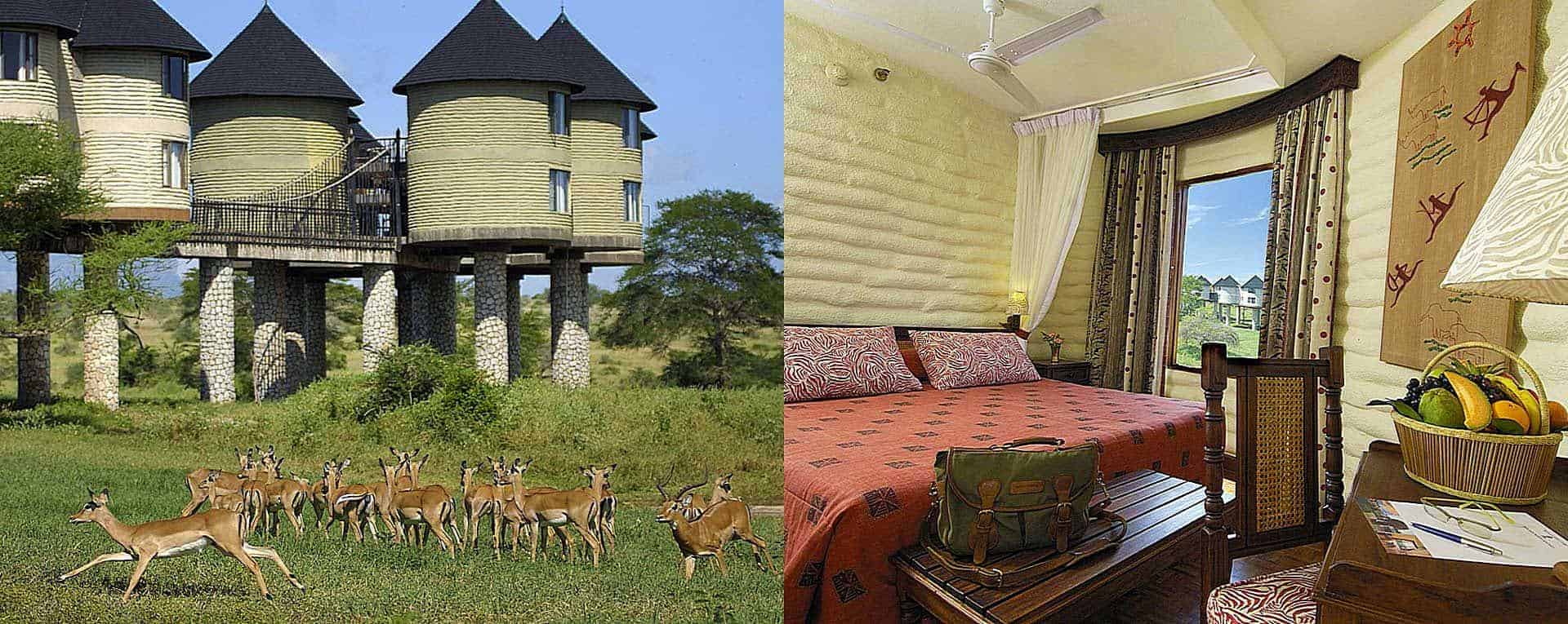 taita salt lick Taita salt lick